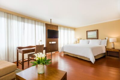Hotel Cosmos 100