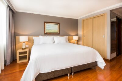 Hotel Cosmos 100