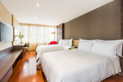 Hotel Cosmos 100