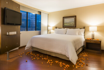 Hotel Cosmos 100