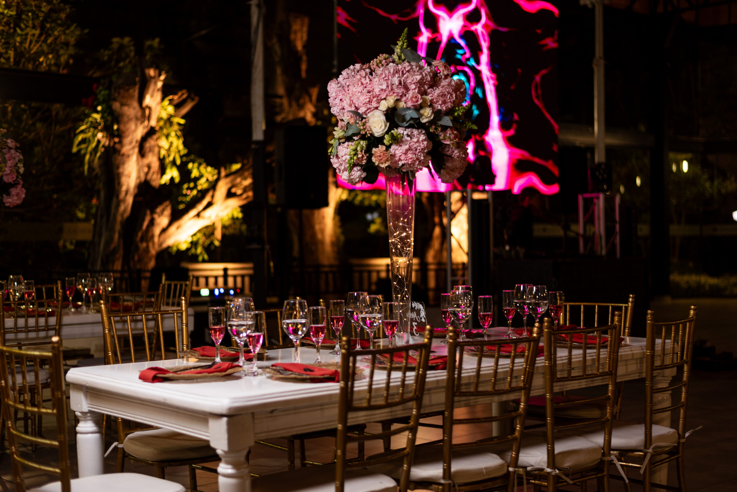 Diego Sanchez Wedding & Event Planner