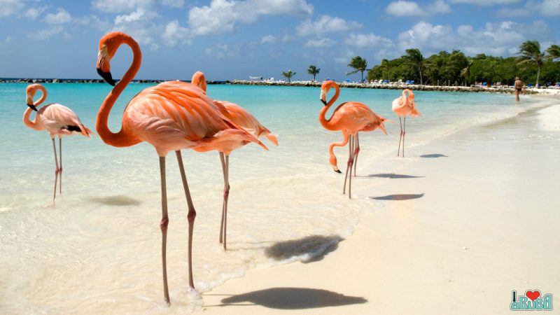 Destinos y Eventos Travel